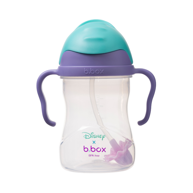 B Box Sippy Cup