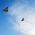Colorful Weifang butterfly kite for kids, easy to fly in gentle breeze, featuring vibrant seven-color design and realistic butterfly shape.