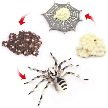 Lifelike tarantula spider action figure toy for kids, realistic insect model for pretend play and educational learning.