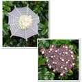 Lifelike tarantula spider toy figure from Everything Baby, realistic insect for pretend play and educational learning for kids.