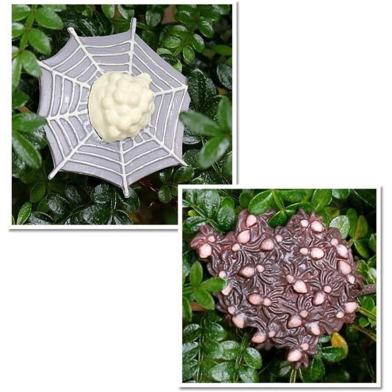 Lifelike tarantula spider toy figure from Everything Baby, realistic insect for pretend play and educational learning for kids.