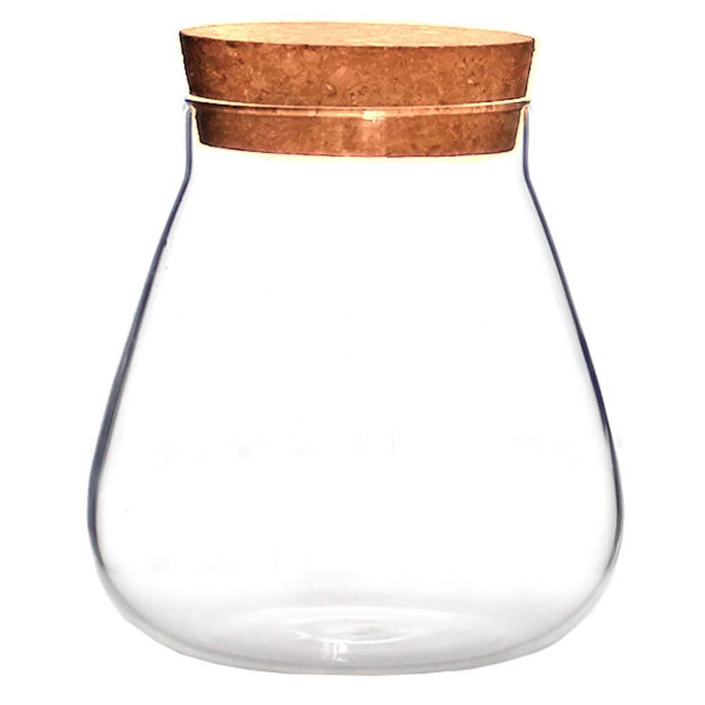 Round glass jar with cork lid, used as a plant terrarium, succulent planter, or decorative canister with moss balls and buds.