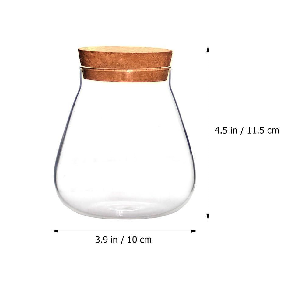 Round glass jar with cork lid, showcasing a tabletop succulent terrarium with moss balls and decorative buds, suitable for home decor.