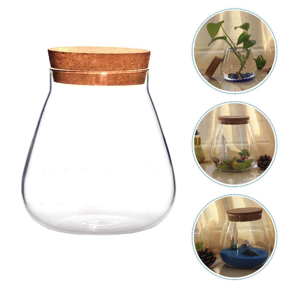 Round glass jar terrarium with cork lid, showcasing succulents, moss balls, and small plants in a decorative canister for home decor