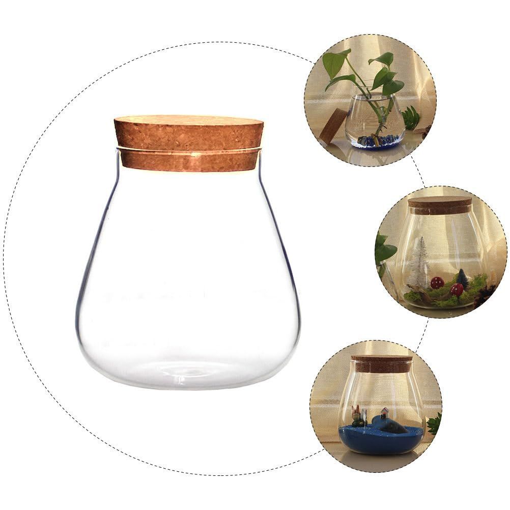 Round glass jar with cork lid, used as a decorative plant terrarium or candy canister, featuring succulents, moss balls, and buds.