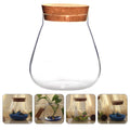 Clear round glass jar terrarium with cork lid, featuring succulents, moss balls, and decorative buds in a tabletop planter.