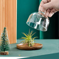Mini glass dessert dome with base, decorative cake tray, clear glass cover for displaying small cakes, fruits, or pretend play toys.