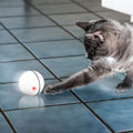 Smart LED light cat toy ball with automatic rolling, USB charging, and motorized fun for cats to play and entertain.
