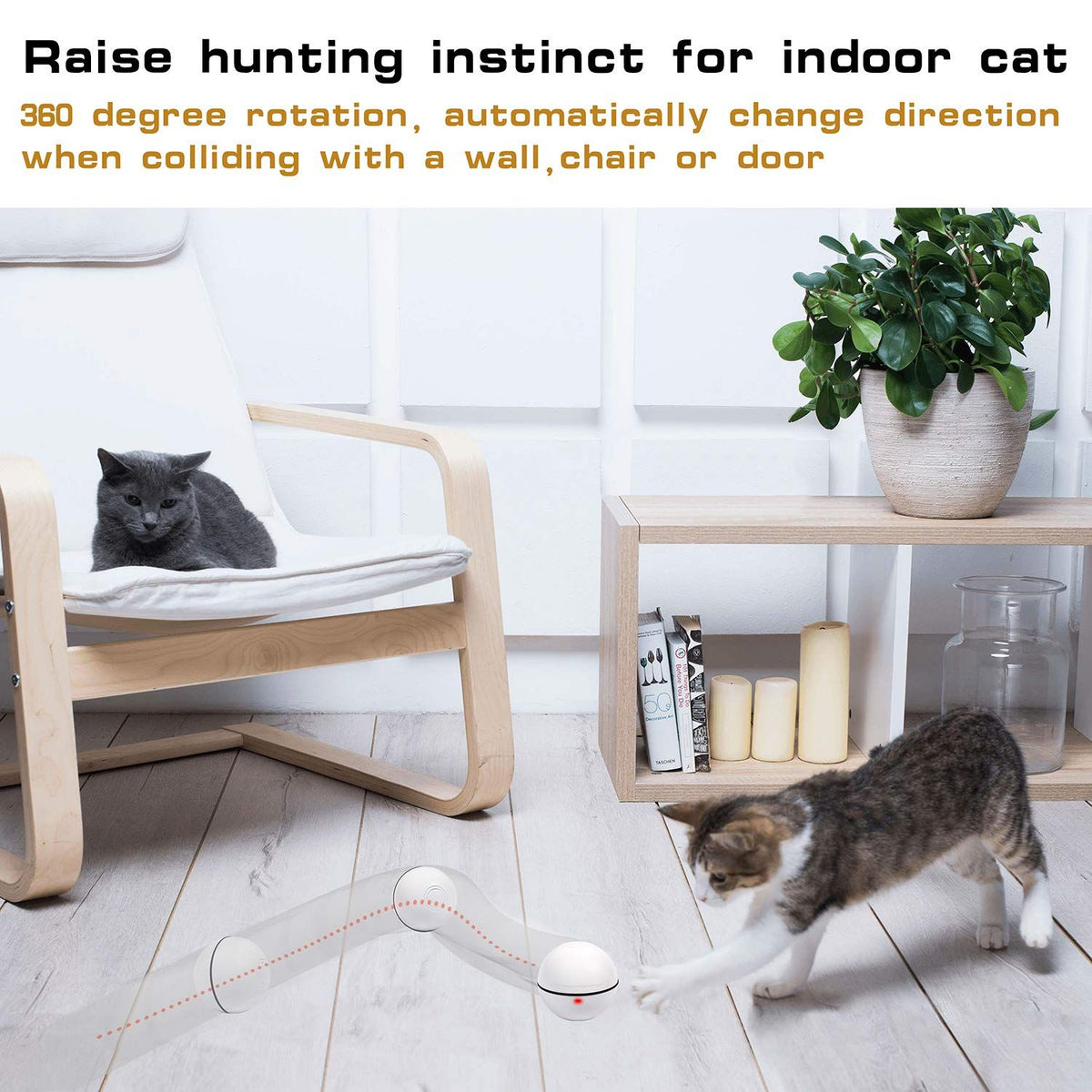 LED light pet cat toy with free ball, USB charging, automatic rolling, motorized fun for cats, colorful and engaging.