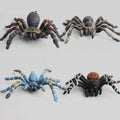 Set of four realistic plastic spider figurines for science and educational play, suitable for kids outdoor toy collection.