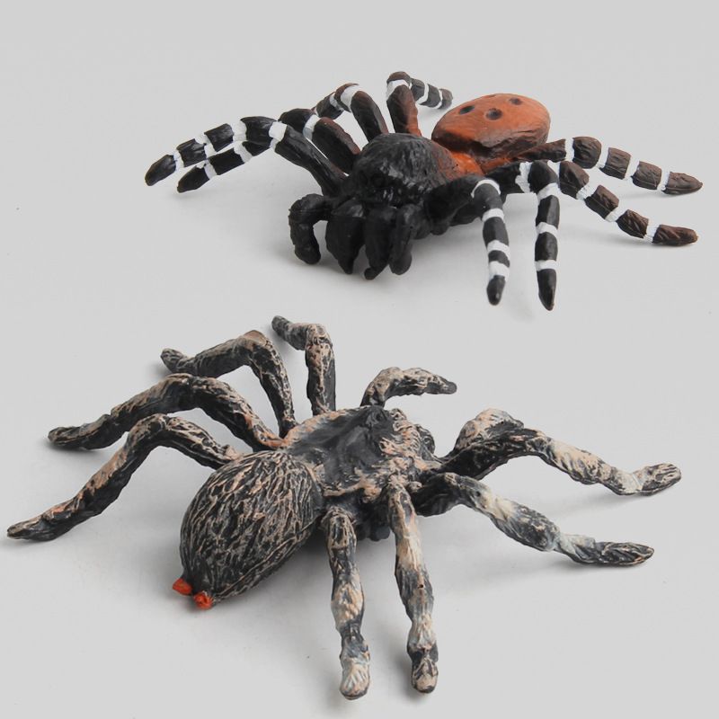 Set of four realistic plastic spider figurines for collection and educational science play, suitable for kids outdoor toy set.