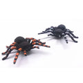 Set of four realistic, soft rubber spider mom and spiderlings toys for kids, ideal for outdoor Halloween-themed play.