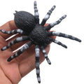 Realistic Spider Mom and Spiderlings stretch and squeeze rubber toys, soft and detailed, perfect for outdoor play and Halloween fun.