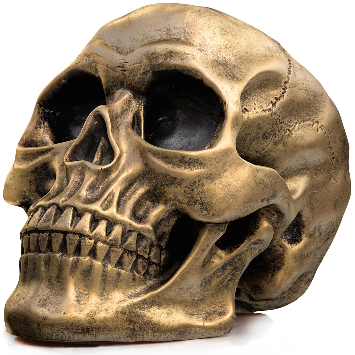 Realistic gold life-size human skull model, detailed adult skull replica for Halloween and party decorations.