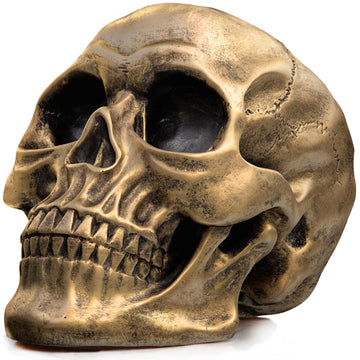 Realistic gold life-size human skull model, detailed adult skull replica for Halloween and party decorations.