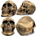 Realistic gold life-size human skull model for Halloween and party decorations, detailed adult skull replica by Everything Baby.