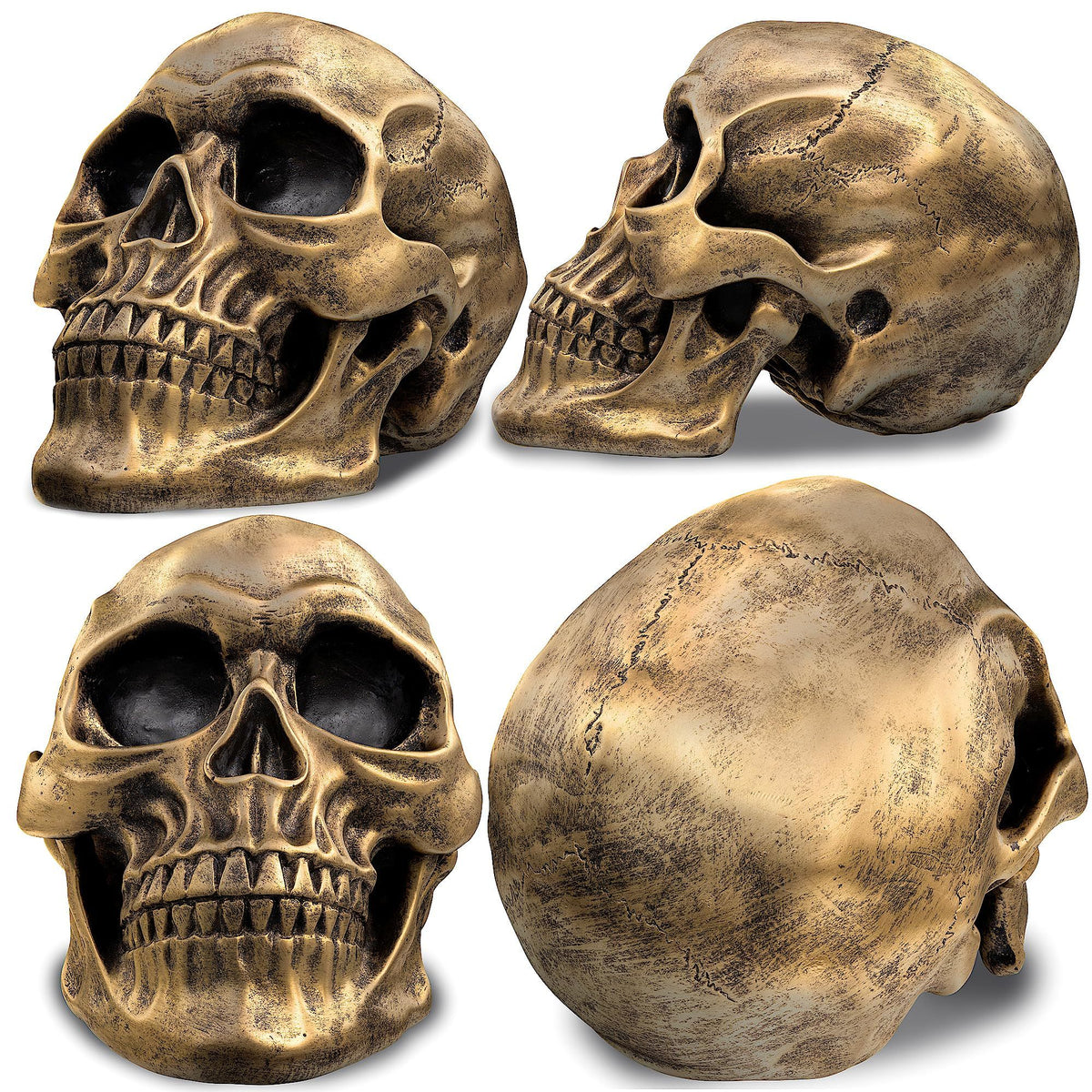 Realistic gold life-size human skull model for Halloween and party decorations, detailed adult skull replica by Everything Baby.
