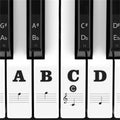 Clear piano keyboard stickers for 88, 61, 54, 49, 37 keys, removable notes label set for beginners and kids.