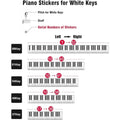 Clear piano keyboard stickers for 88/61/54/49/37 keys, removable letter and note labels for beginners and kids on a full set.