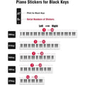 Clear piano keyboard stickers for 88, 61, 54, 49, 37 keys, removable letter and note labels for beginners and kids.
