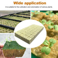 100 pcs Rockwool Cubes for hydroponic growing, ideal for plant rooting, cuttings, cloning, and seed germination.