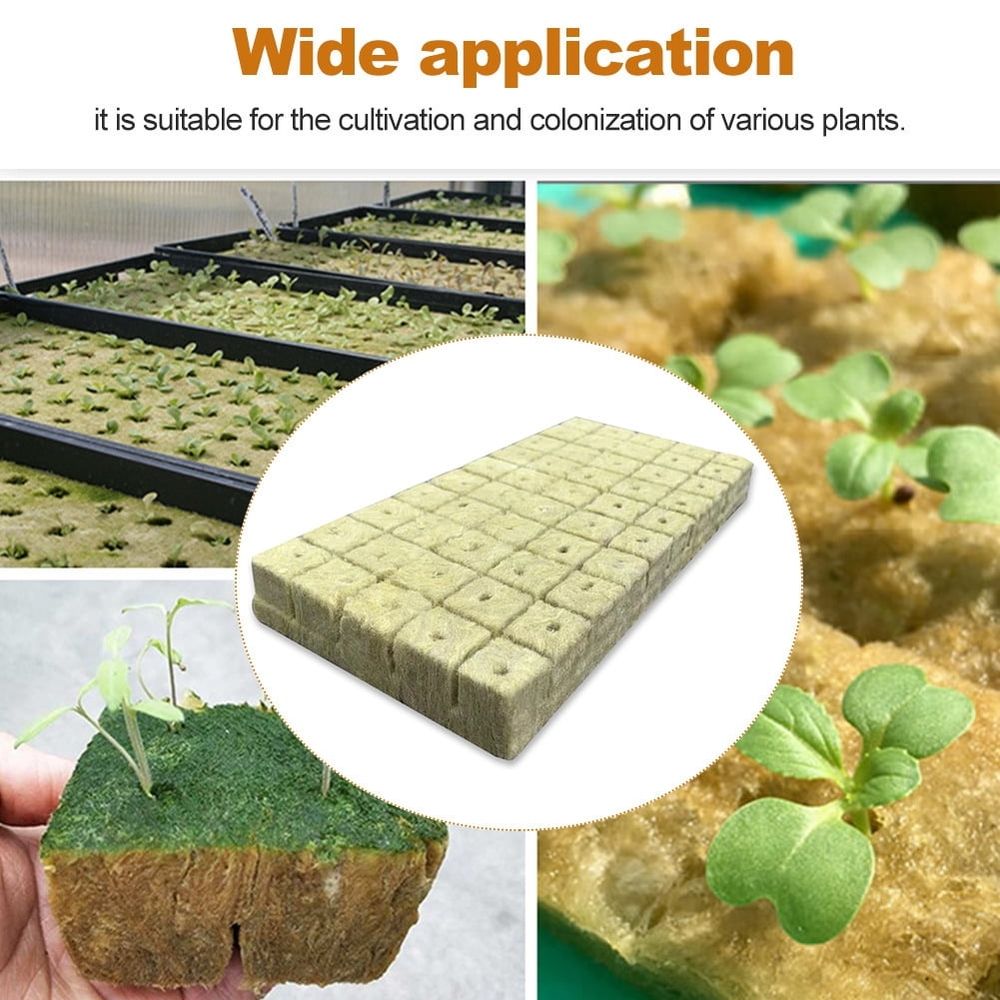 100 pcs Rockwool Cubes for hydroponic growing, ideal for plant rooting, cuttings, cloning, and seed germination.