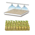 100 Pcs Rockwool Cubes for hydroponic growing, perfect for rooting, cuttings, cloning, and seed germination in gardening systems.