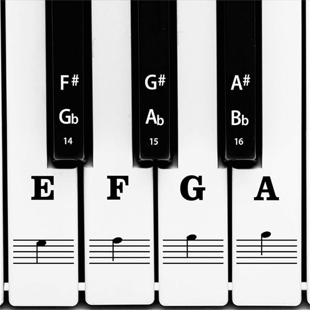 Black bold letter piano keyboard stickers for kids, removable learning stickers for 88, 61, 54, 49, 37 key pianos, suitable for beginners.