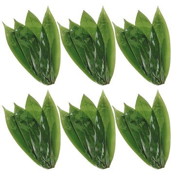 50- Dark Green Leaves for Sushi Mak, Traditional Style Co Supplies and Essential Kitchen Accessories