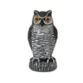 Realistic plastic owl decoy garden statue by Everything Baby for outdoor pest control, weatherproof bird and rodent scarecrow.