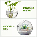 Three clear glass terrarium bowls with beveled openings, suitable for home decor or pretend play in a baby and kid's toy setting.