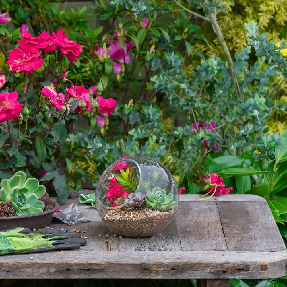 Three clear glass terrarium bowls with beveled openings, suitable for home decor or pretend play in a baby and kids toy setting.