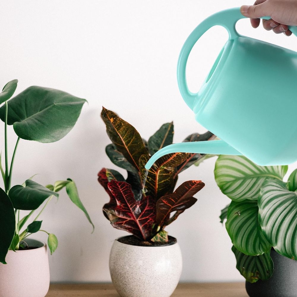 Blue plastic indoor watering pot with ergonomic handle, sturdy and practical, designed for kids' outdoor play and watering activities.