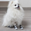 Small dog shoes by Everything Baby, four-season canvas sneakers with soft soles, suitable for pets in various weather conditions.