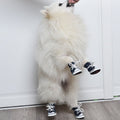Small dog shoes from Everything Baby, four-season canvas sneakers with soft soles, featuring warm, colorful design for pets.