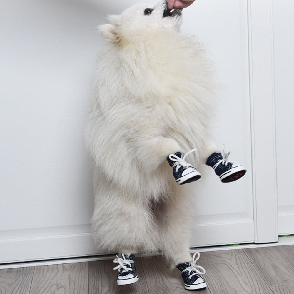 Small dog shoes from Everything Baby, four-season canvas sneakers with soft soles, featuring warm, colorful design for pets.