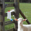 Two portable goat milk bottles with handles, made of sturdy PP plastic, designed for lambs and baby goats, no batteries needed.