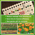 Wooden garden planting ruler by Everything Baby, ideal for seedlings and transplants, classic style, no power needed, outdoor gardening tool.