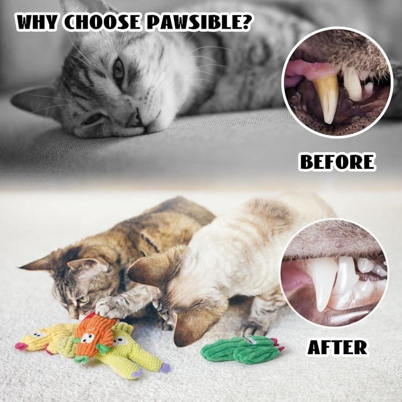 Five plush catnip toys for cats, soft and stuffed with pure organic catnip, ideal for indoor play and chewing.