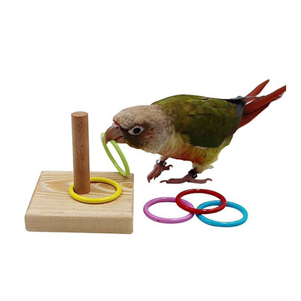 Small stacking ring bird toy set for parrots, featuring colorful rings for play and entertainment, by Everything Baby