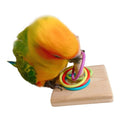 Colorful stacking ring bird toy set for parrots, small rings for bird play and enrichment, by Everything Baby.