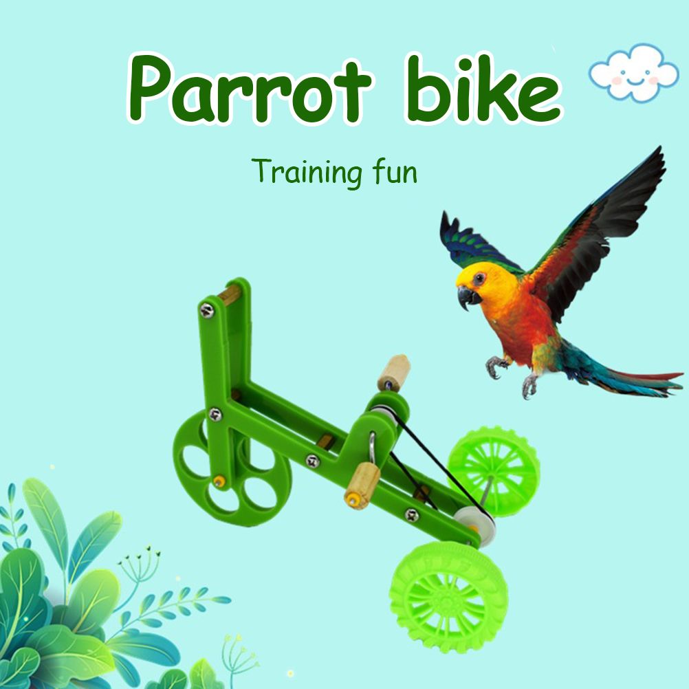 Training parrot mini bike toy for bird training, designed for recreational bird play and outdoor activity by Everything Baby.