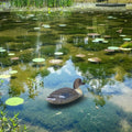 Lifelike plastic duck decoy for garden decor, 34.5cm, featuring realistic details perfect for outdoor decoration.