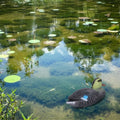 Floating duck decoy toy for outdoor play, 26x11.5cm, realistic female duck design, suitable for garden pools and lakes.