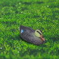 Floating duck decoy toy for garden or pond, realistic female duck simulation, 26x11.5cm, suitable for outdoor play and decoration.