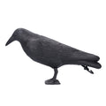 Simulation plastic crow decoy for outdoor garden decoration, hunting bait, and outdoor play, by Everything Baby.