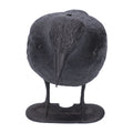 Plastic crow decoy for outdoor garden decoration, used as hunting bait or bird deterrent in outdoor garden settings.