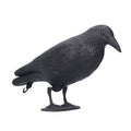 Plastic crow decoy for outdoor garden decoration and hunting bait, realistic-looking bird toy for kids' outdoor play.