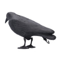 Plastic crow decoy for outdoor garden decoration, used as hunting bait or outdoor toy, by Everything Baby.