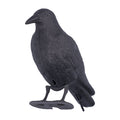 Plastic crow decoy for outdoor garden decoration, used as hunting bait and outdoor play equipment for kids.